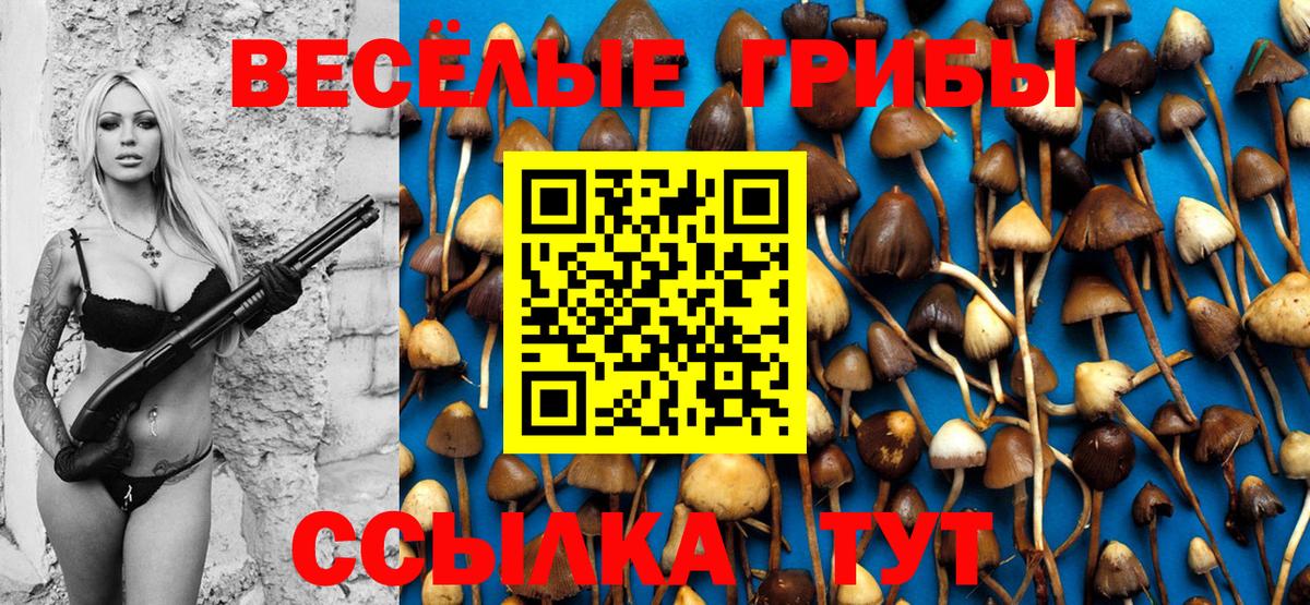 Псилоцибиновые грибы Magic Shrooms Горно-Алтайск