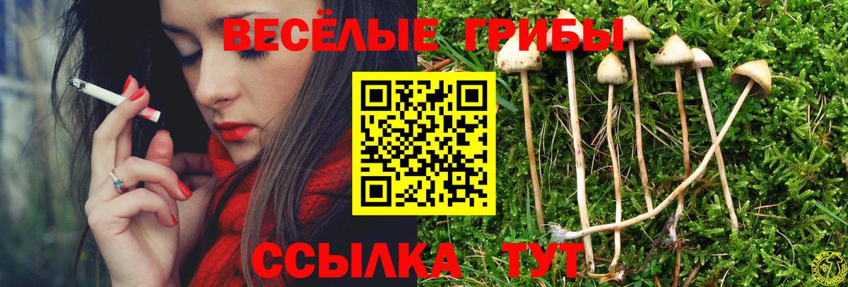 дарнет шоп  Галлюциногенные грибы ЛСД  Вход с VPN  Горно-Алтайск 